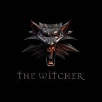 the witcher