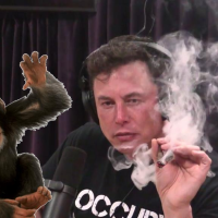 elon musk.png