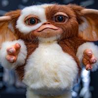 gizmo gremlins.jpg