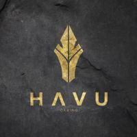 havu gaming.jpeg