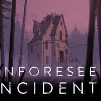 Unforeseen Incidents: Kansi