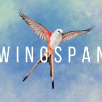 Wingspan: Kansi