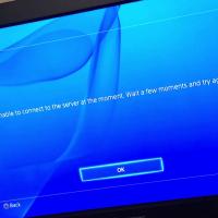 PSN nurin