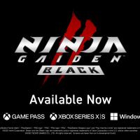 ninja gaiden nosto.jpeg