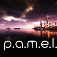 P.A.M.E.L.A.: Kansi