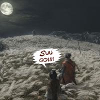 sekiro04.jpg