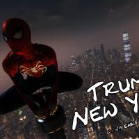spider01-new-york-15.jpg