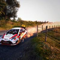 wrc 9.jpg