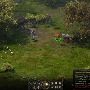 Pillars of Eternity:  Taistelu