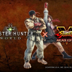 Monster Hunter: World x Street Fighter V