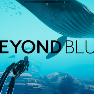 Beyond Blue logo