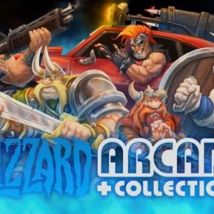 Blizzard Arcade Collection kansikuva