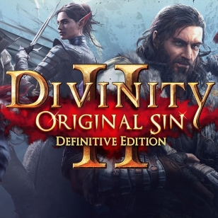 Divinity: Original Sin 2 Definitive Edition 