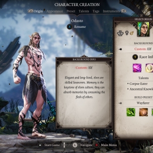 Divinity Original Sin 2 - Hahmonluonti.jpg