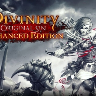 Divinity: Original Sin - Enhanced Edition