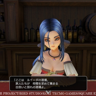 Dragon-Quest-Heroes-II_2016_02-29-16_005.jpg