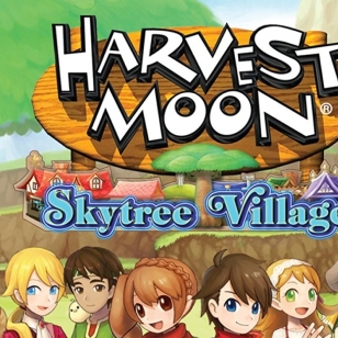 Harvest Moon Skytree Village kansi