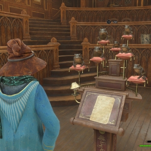 Hogwarts Legacy_sammakkokuoro