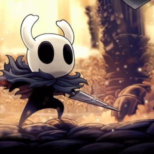 Hollow Knight