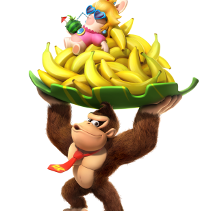 Mario Rabbids Kingdom Battle Donkey Kong promokuva