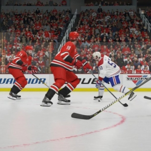 NHL 20 Montreal Carolina Mete maali.jpg