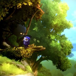 Ori and the Will of the Wisps (28).png