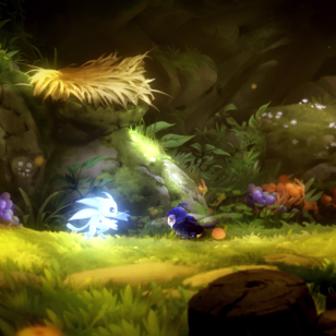 Ori and the Will of the Wisps (29).png