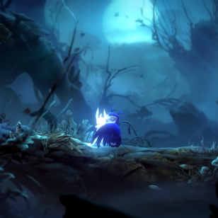 Ori and the Will of the Wisps (6).png