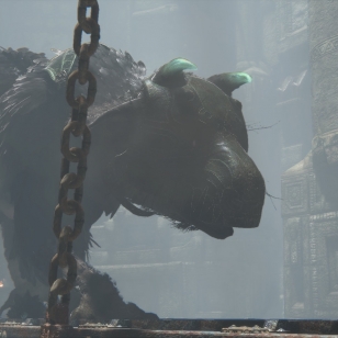 The Last Guardian