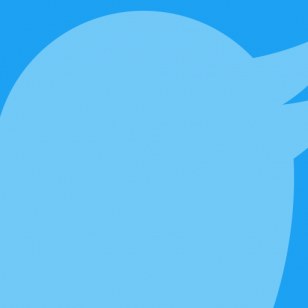 Twitter sininen kuva linnusta
