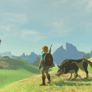 The Legend of Zelda: Breath of the Wild link & susi