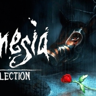 Amnesia: Collection