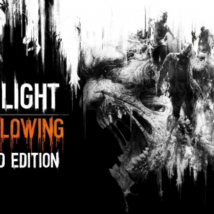 Dying Light: The Following - Enhanced Edition kansi