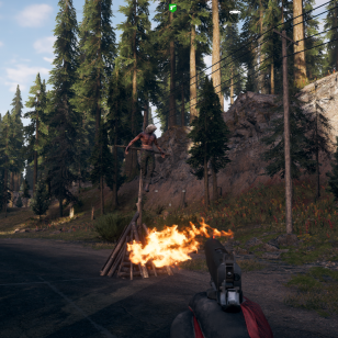 Far Cry 5