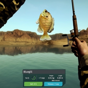 Ultimate Fishing Simulator