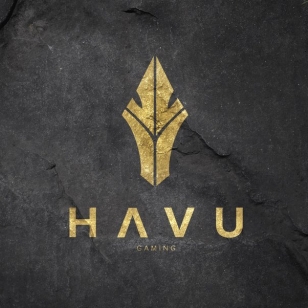 HAVU gaming