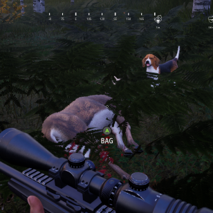 Hunting Simulator 2