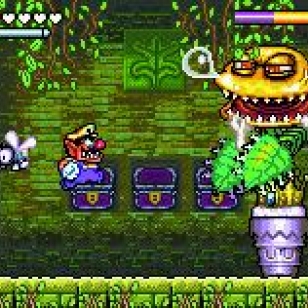 Wario Land 4