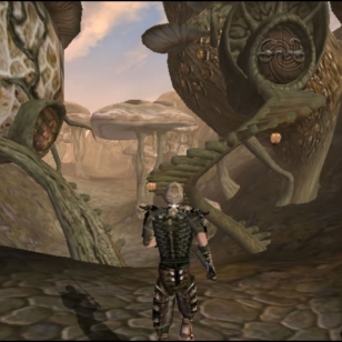 The Elder Scrolls III: Morrowind