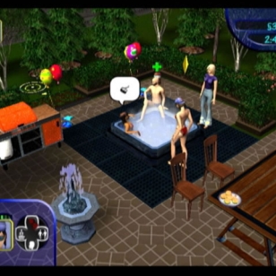 The Sims