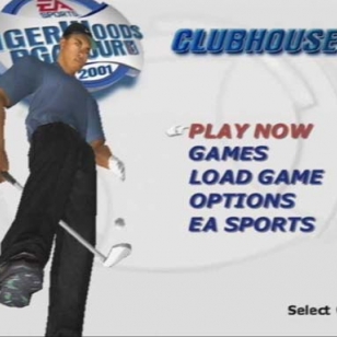 Tiger Woods PGA Tour 2001