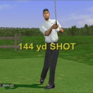 Tiger Woods PGA Tour 2001