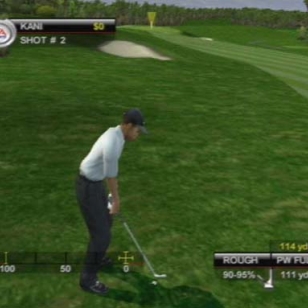 Tiger Woods PGA Tour 2001