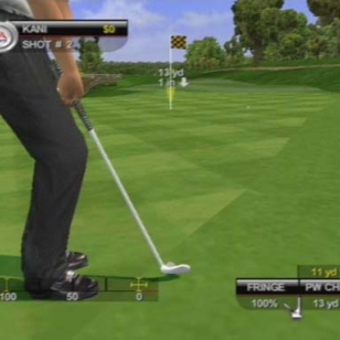 Tiger Woods PGA Tour 2001