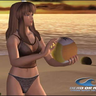 Dead or Alive Xtreme Beach Volleyball