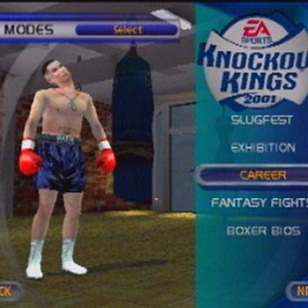 Knockout Kings 2001 