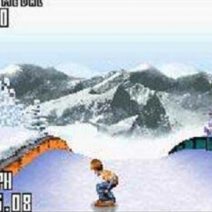 SSX Tricky