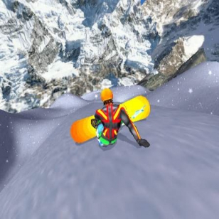 SSX Tricky 