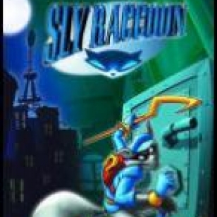 Sly Raccoon