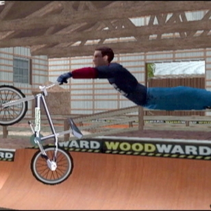 Dave Mirra Freestyle BMX 2